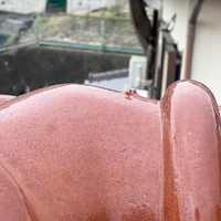 画像237