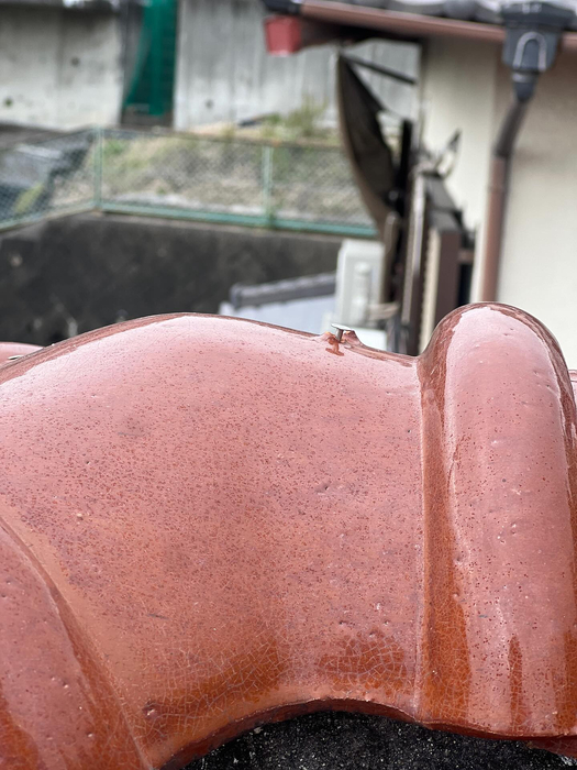 画像237