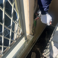 画像246