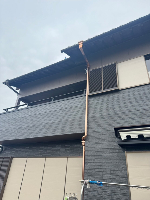 画像287