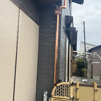 画像290