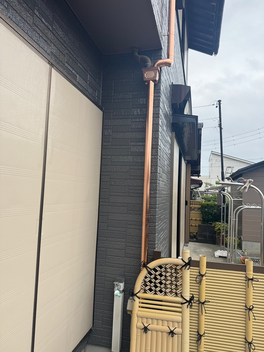 画像290