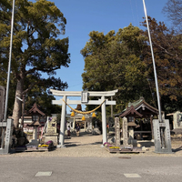 画像443