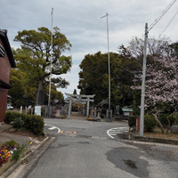 画像521