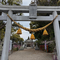 画像523