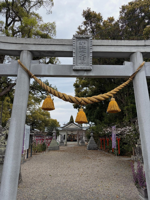 画像523