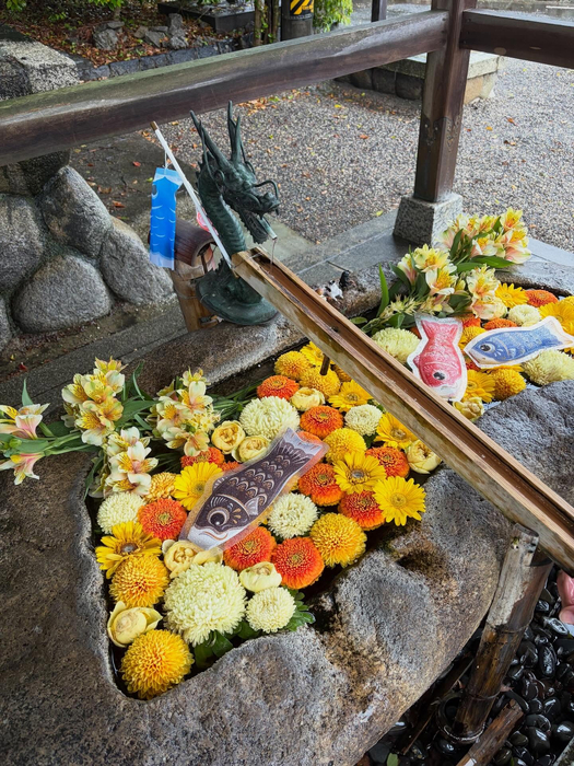 画像576