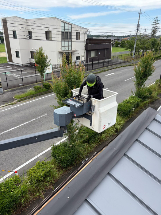 画像808