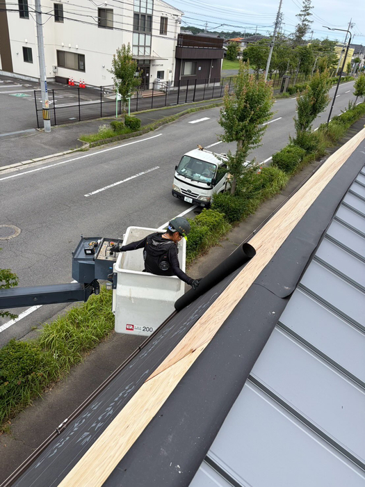 画像811