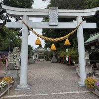 画像875