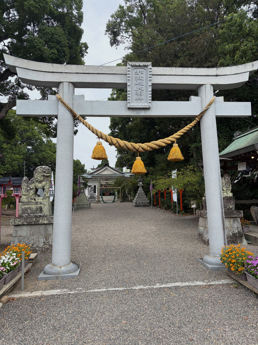 画像875
