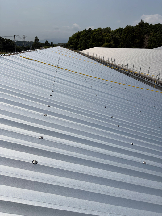 画像880