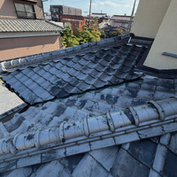 画像980