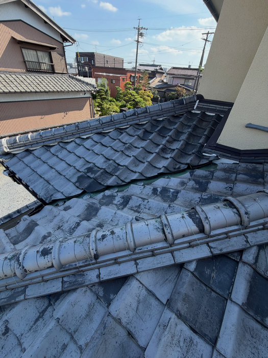 画像980