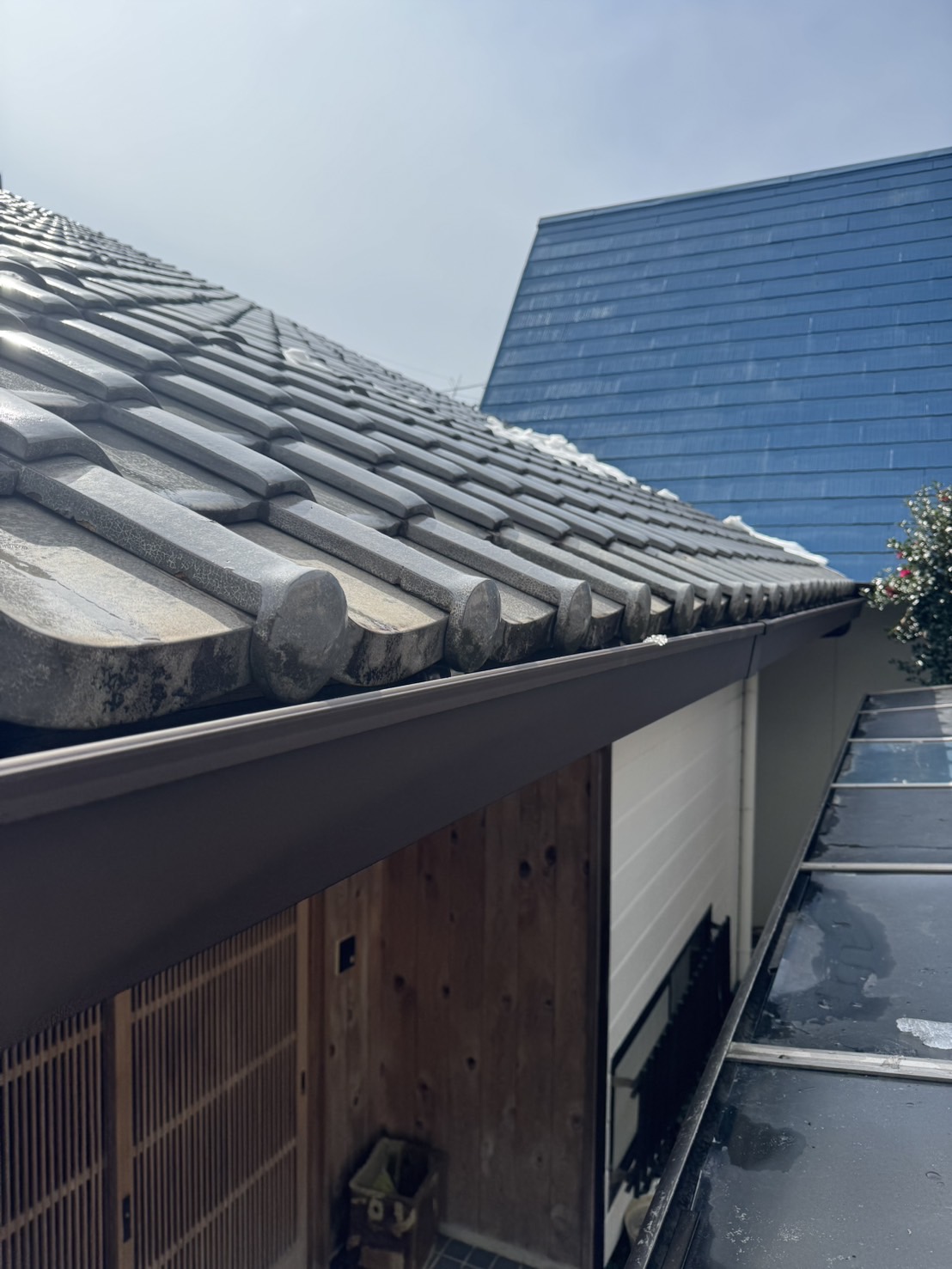 屋根・雨樋メンテナンスの重要性